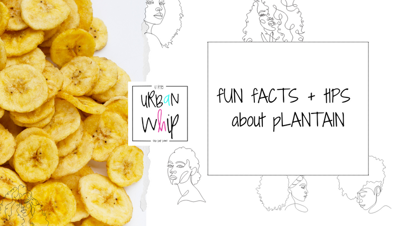 pLANTAIN | fUN fACTS – Urban Whip