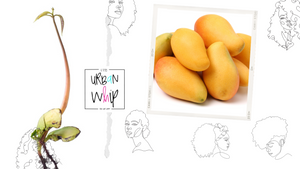 Growing Your Own Mango Tree from Seed: A Step-by-Step Guide