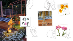 uRBAN wHIP aPIARY