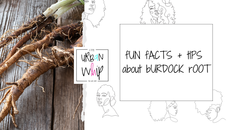 bURDOCK rOOT | fUN fACTS – Urban Whip