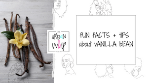 Fun Facts About Vanilla Bean (Vanilla Planifolia)