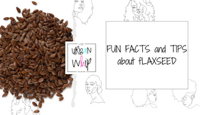 fUN fACTS aBOUT fLAXSEED